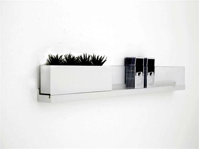 Planter Design "Front" - wall or table decoration