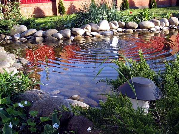 All set to create a garden pond: So it goes step by step