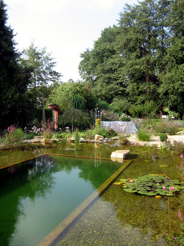 9 myths about organic swimming pond in the organic garden