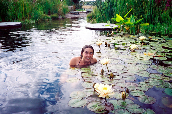 9 myths about organic swimming pond in the organic garden