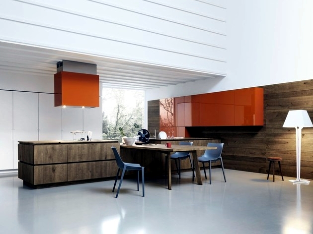 Modern Kitchen Design by Cesar convince understated elegance