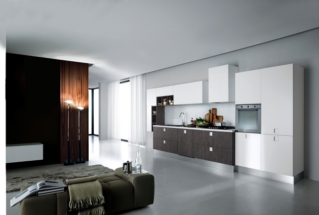 Modern kitchens Italy fascinated by the intelligence and sophistication