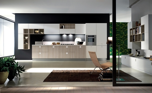 Modern kitchens Italy fascinated by the intelligence and sophistication