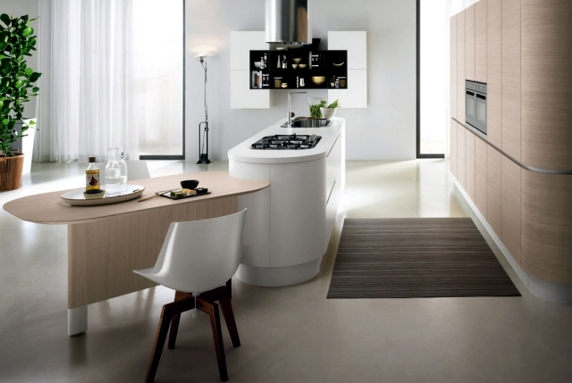 Modern kitchens Italy fascinated by the intelligence and sophistication