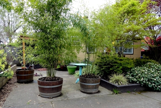 Perfect Garden Design - 15 Ideas fine for outdoor spaces