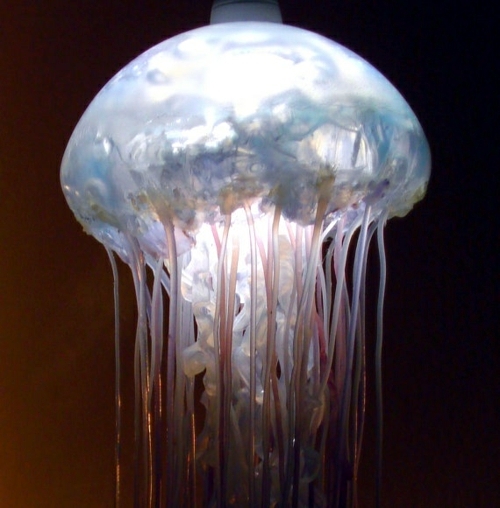 LED lamp as a diffused soft light jellyfish - jellyfish