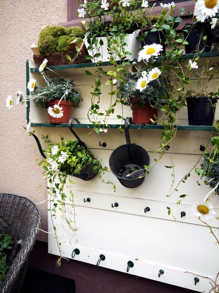 Garden & Outdoor Garden & Outdoor