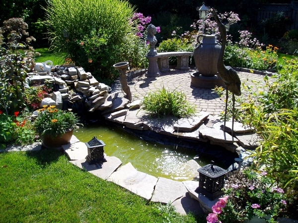 Garden design and maintenance