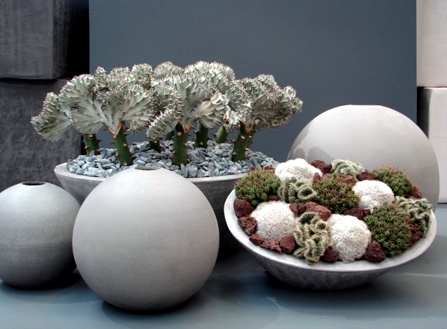 Andreas Verheijen developed hybrid plants and colorful flower arrangements
