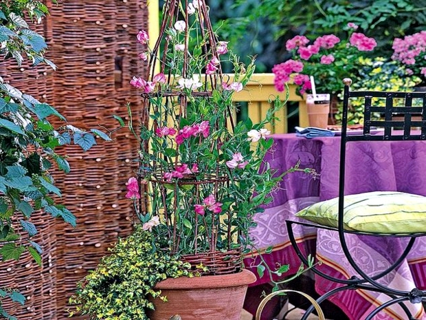 Balcony planting flowers - colorful oasis in the cold season