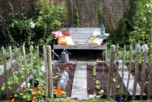 Design tips and ideas for small gardens – What not to miss? | Interior