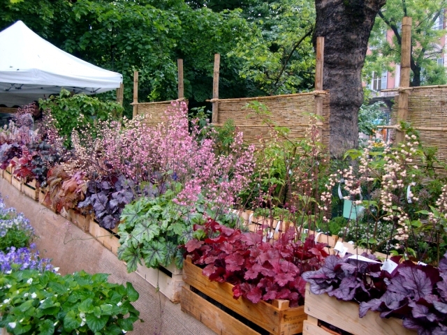 Design tips and ideas for small gardens - What not to miss?