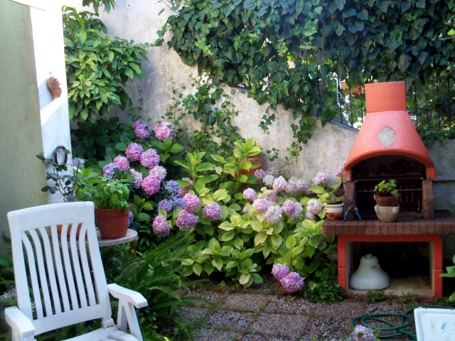 Design tips and ideas for small gardens - What not to miss?