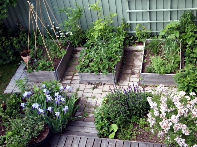 Design tips and ideas for small gardens - What not to miss?