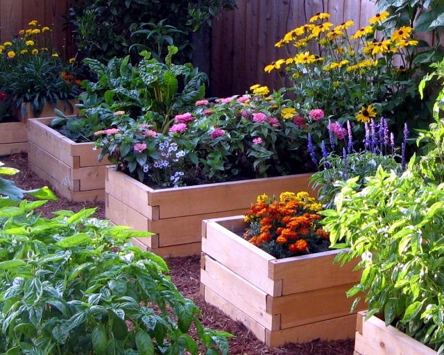 Design tips and ideas for small gardens - What not to miss?