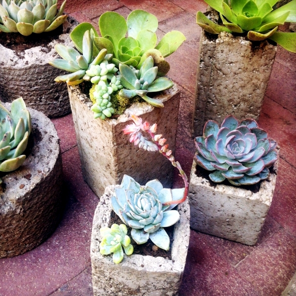 Concrete Planters - highlights and functional design