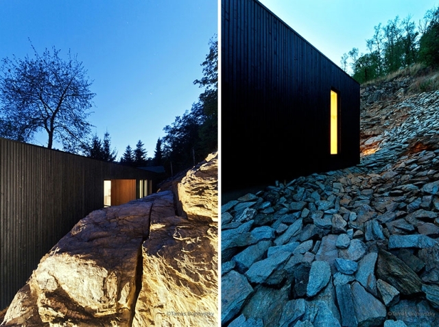 A minimalist house dressed only with wood