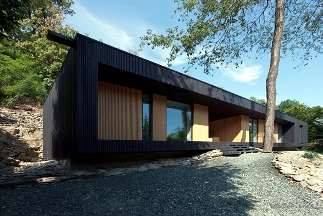 A minimalist house dressed only with wood