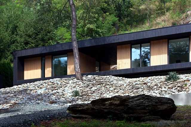 A minimalist house dressed only with wood