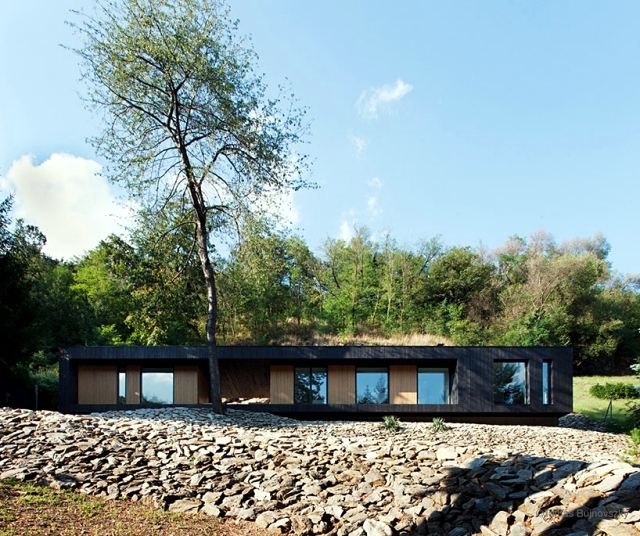 A minimalist house dressed only with wood