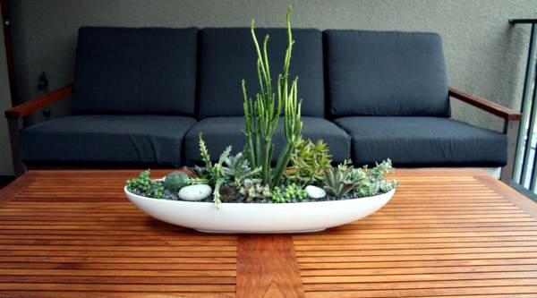 The interior garden oasis of comfort - As the greening apartment?