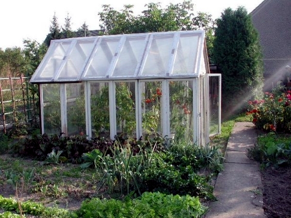 Accumulation Greenhouse - Advice for home gardeners to grow vegetables