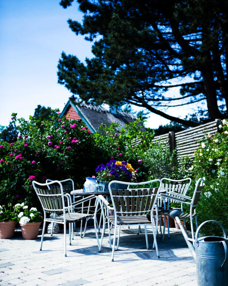 Garden & Outdoor Garden & Outdoor
