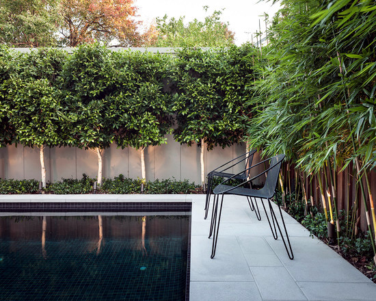 34 ideas for privacy in the garden with a decorative bamboo fence