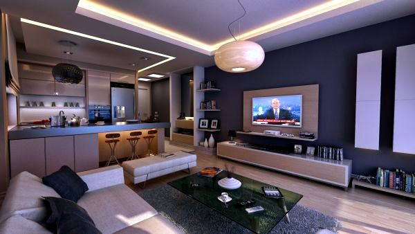 Bachelor apartment ideas-70 living room, revealing his character Bachelor apartment ideas-70 living room, revealing his character