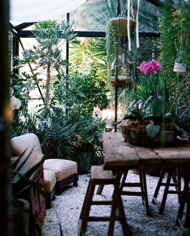 Caring for plants in the conservatory and 17 design ideas