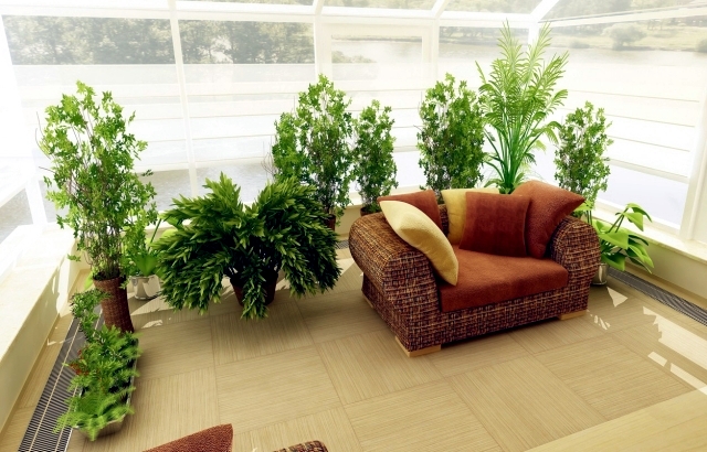 Caring for plants in the conservatory and 17 design ideas