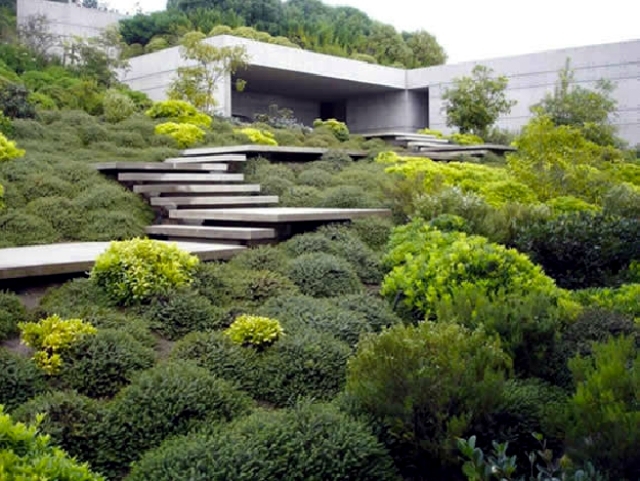 Stairs in the garden lay-a decorative item or need Stairs in the garden lay-a decorative item or need