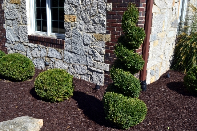 Spring Court - cut bushes, shrubs and hedges in spring