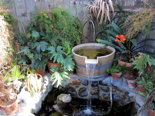 Sources and accumulation of water in the garden itself - 20 images and ideas