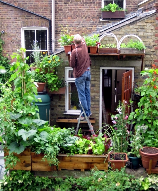 Vegetables on the balcony - Creating a raised bed garden