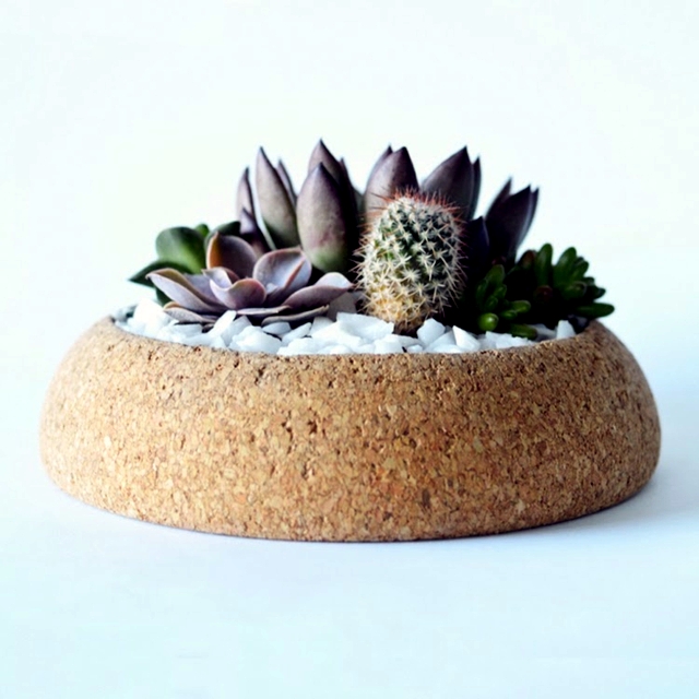 Pots Cork - ideal for cactus and succulents