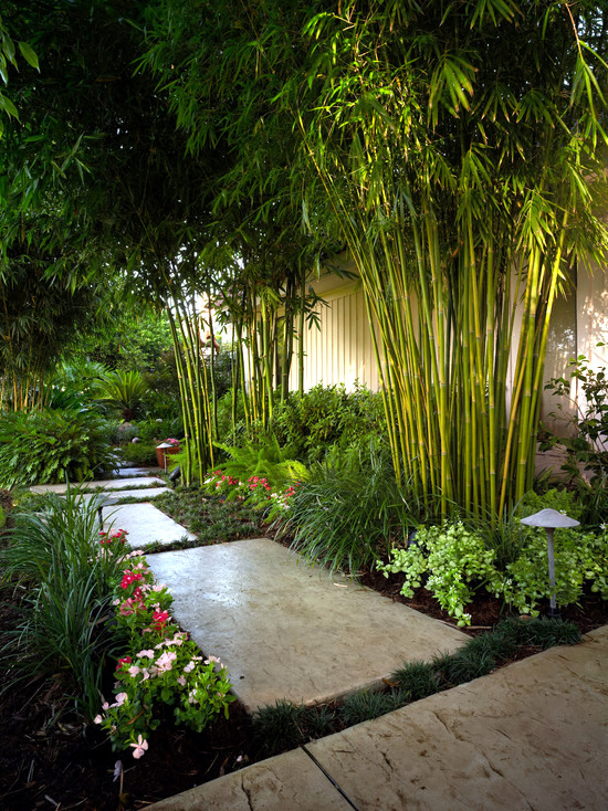 56 ideas for bamboo in the garden - out of sight or decoration?