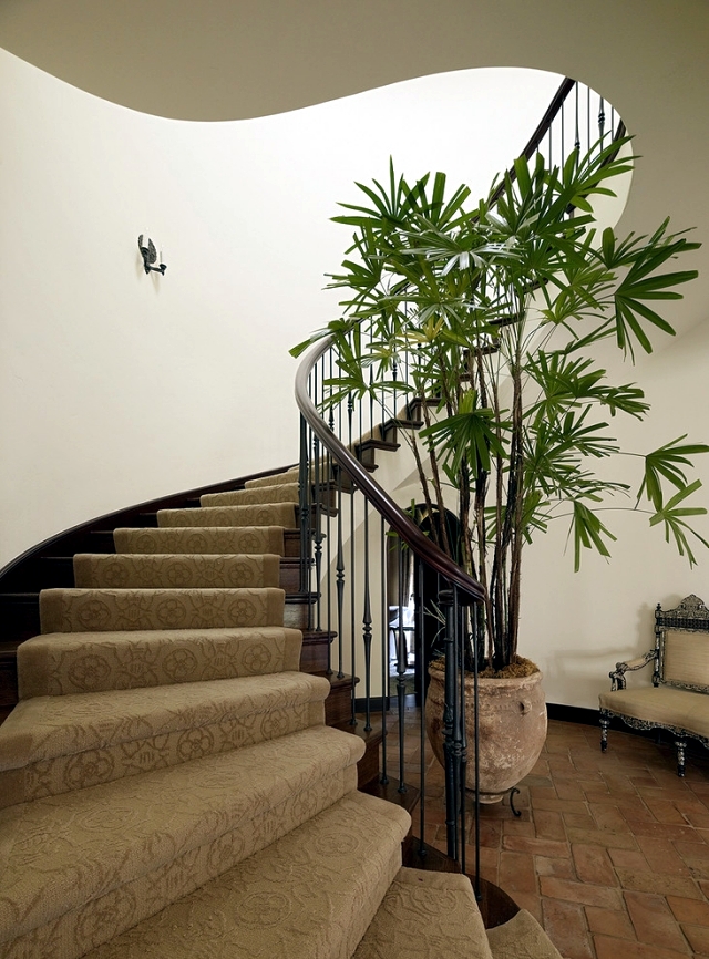 Benefits of Indoor Plants - Why are they so important to our house