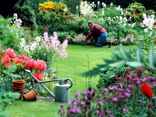 Garden design and maintenance