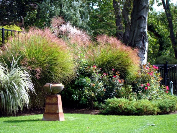 5 quick and easy tips for perfect garden design
