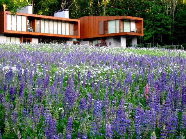 Artful design landscape gardening with 15 creative ideas