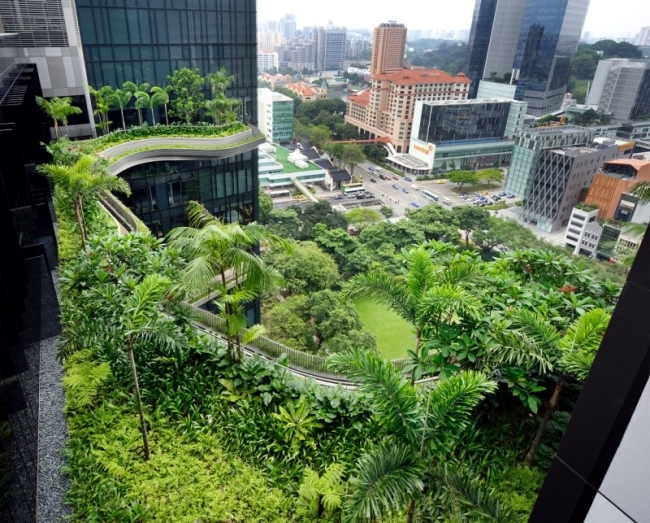 Back to nature with the modern designer Park Royal Hotel in Singapore