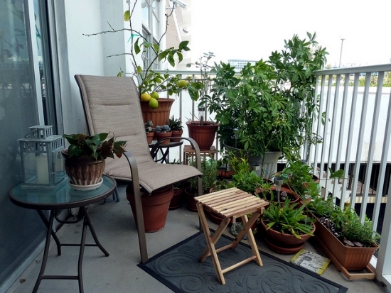 Beautiful ideas with balcony plants - decorate the patio with flowers