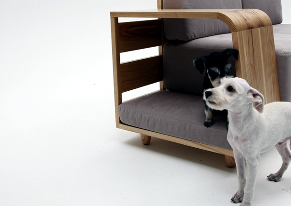 Bed and dog bed - multi-functionality furniture for your interior