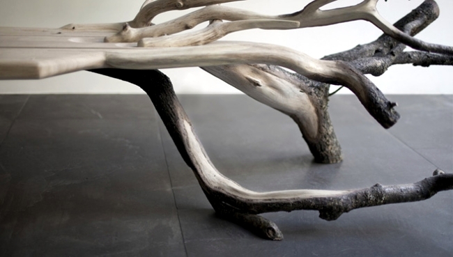 Bench design with natural wood looks like a fallen tree