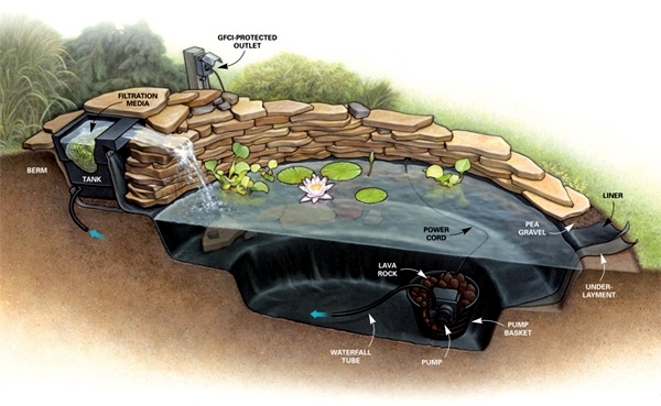 Build garden pond - a water garden design options