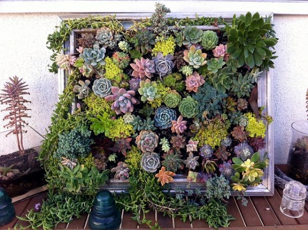 Build your own vertical garden - do it yourself projects for home