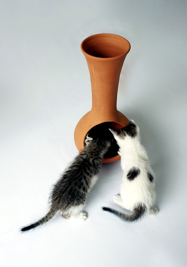 Cool design objects for cats and people of Laia Fusté