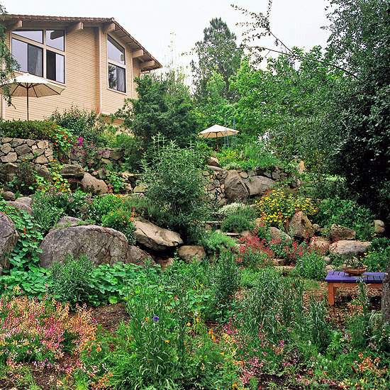 Creating a garden on a slope Ideas and optimal solutions for slope design