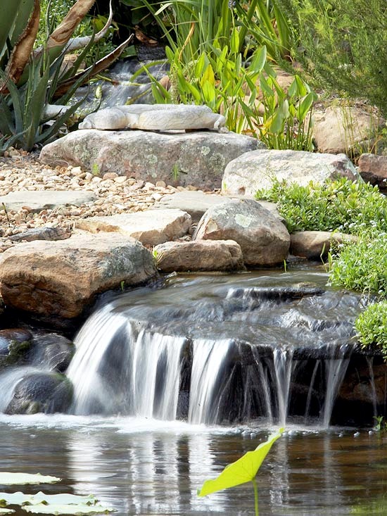 Creating a garden pond new - Tips for successful water garden remodeling